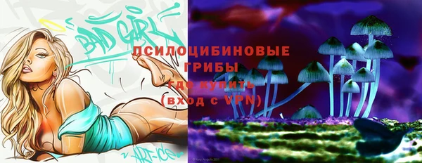 mix Гусиноозёрск