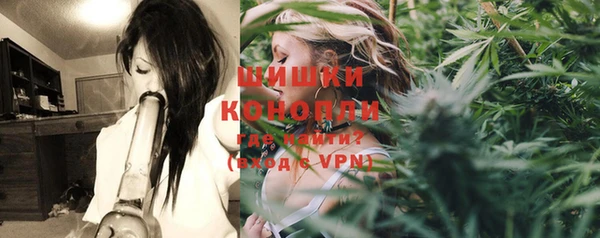 mix Гусиноозёрск