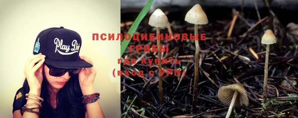 mix Гусиноозёрск