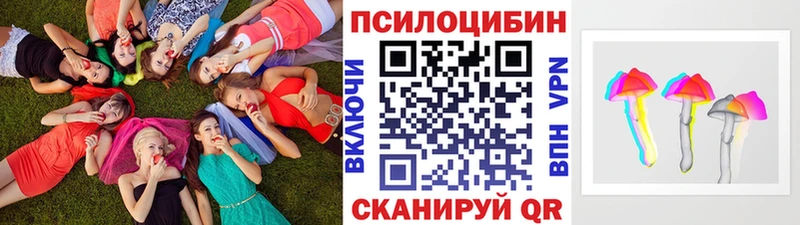 наркошоп  Талдом  Псилоцибиновые грибы мицелий 